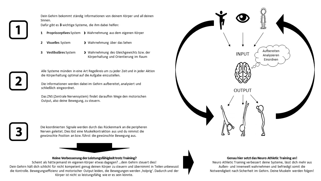 Neuro_Athletic